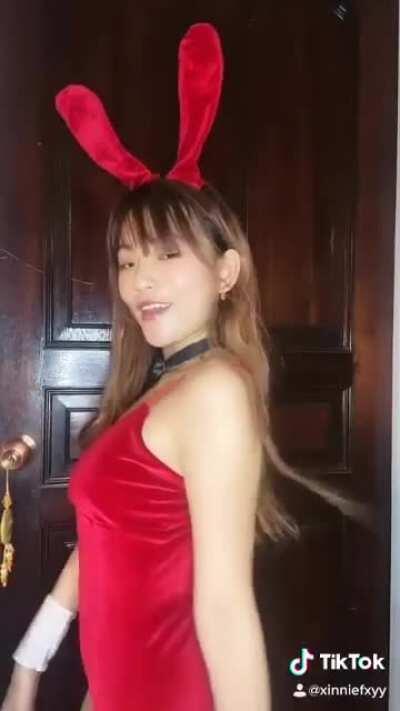 Bunny cosplay hehe tiktok: xinniefxyy