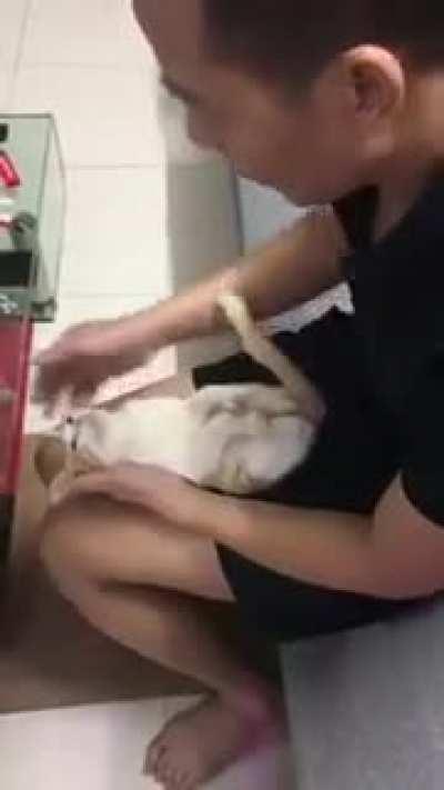 His son became a father too so his father teaches him to bathe a newborn with his cat.