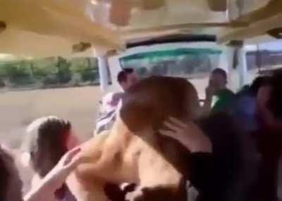 New wildlife experience