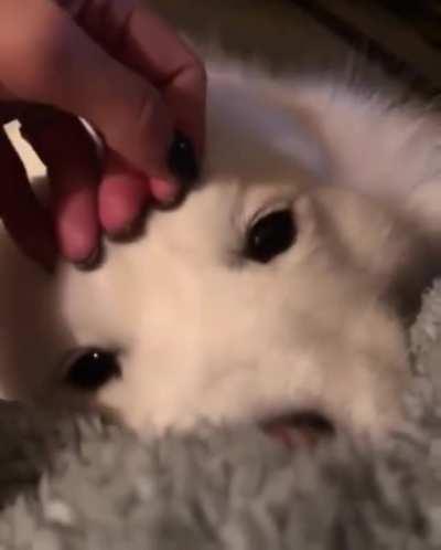 Любовь это...