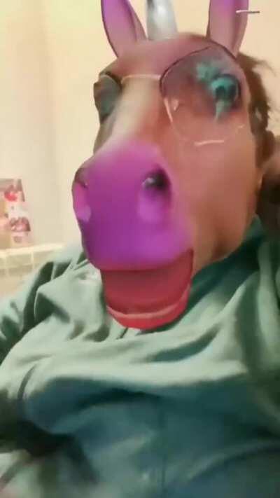 Dog needs to go see a therapist now