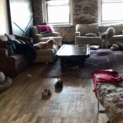 My Brother Taking A Quiet Nap On The Couch