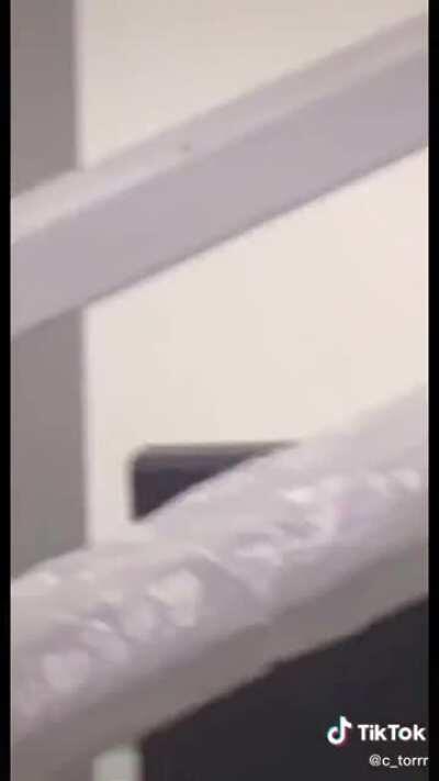 This man averages 7 kills every weekday between 9-5