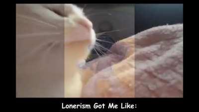 The Tame Impala Experience Part 2