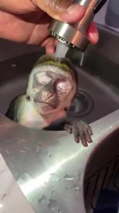 Водные процедуры