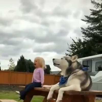 Kid and husky a funny combo
