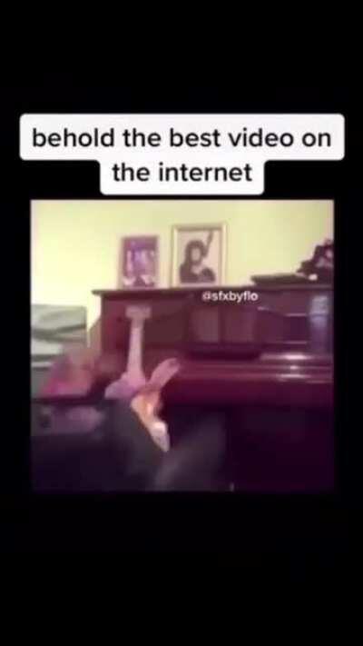 lesson broadcast failed