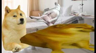 Le Stranger has arrived