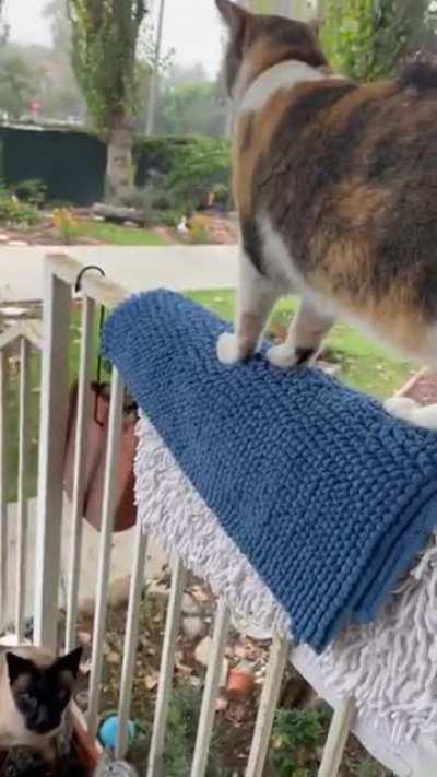 Mom, get it off my back..!