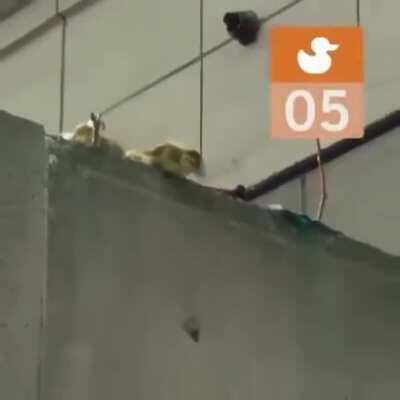 This should brighten your September