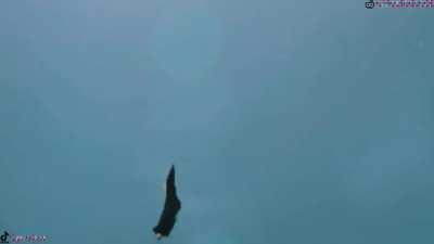 The magnificent Sukhoi SU-57 (sound on)