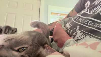 My RamBamBeebo and his air biscuits ❤️🥰