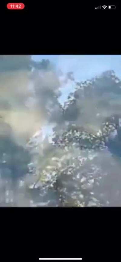 When you do shrooms the first time LMAO videos got me dying