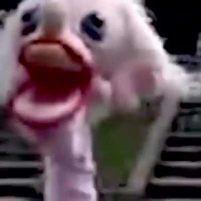 I did another thing (Seizure Warning)