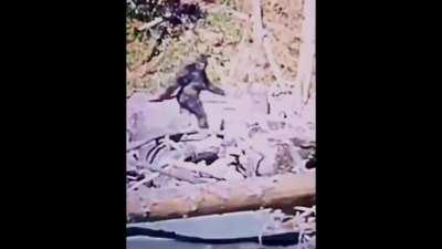 Patty's Wobbling Right Thigh, Calf and Knee - Explanation Please