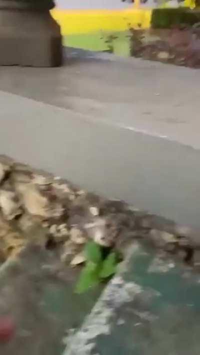 He would have got arrested