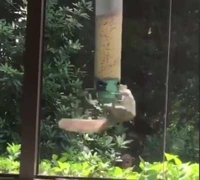 Brooo just chill 🤢💫