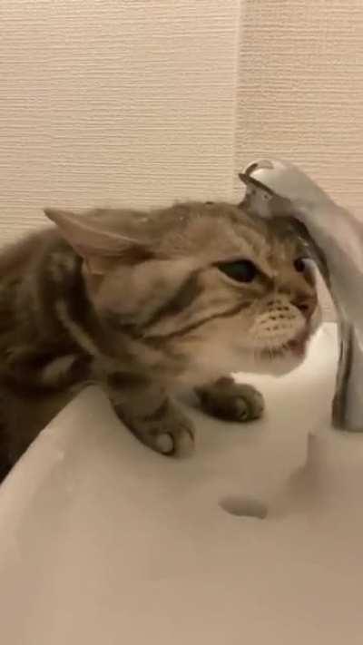 Sometimes I don't understand