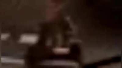 Been gone for a while, have the entire meet the spy but extremely low quality 