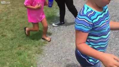 To mock a caged monkey 