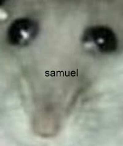samuel