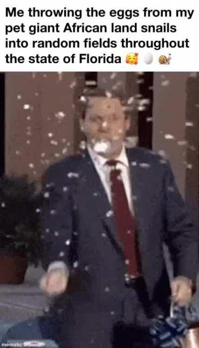 I love snails! 🥳 🐌 