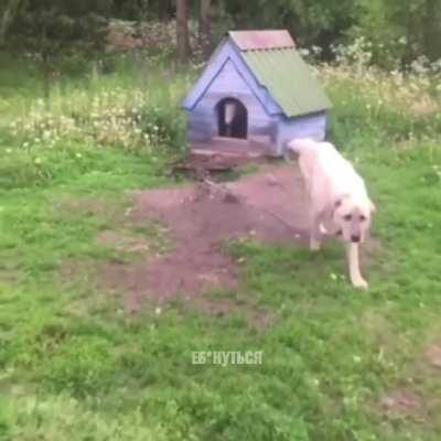 What the fucking hell? 😳