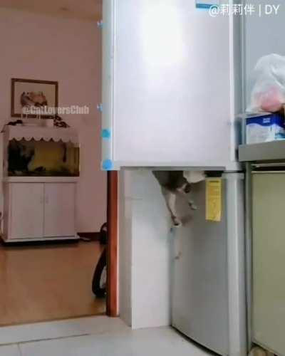 Fridge robbery