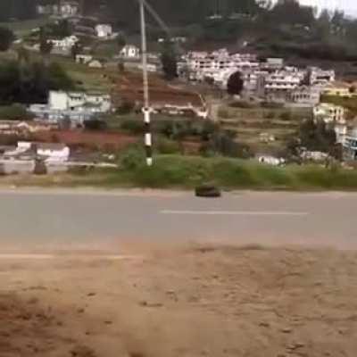 Shattered Glass Shrimp