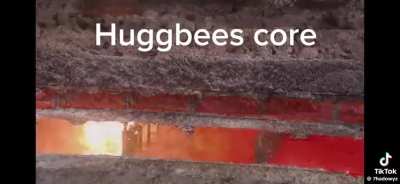 Huggbees core