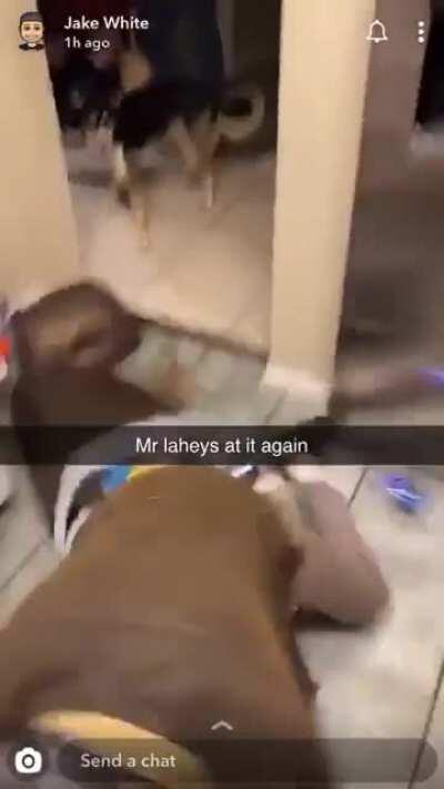 Want a lil drinky-poo Ran?