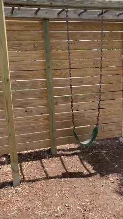 This Swing Set Sucks