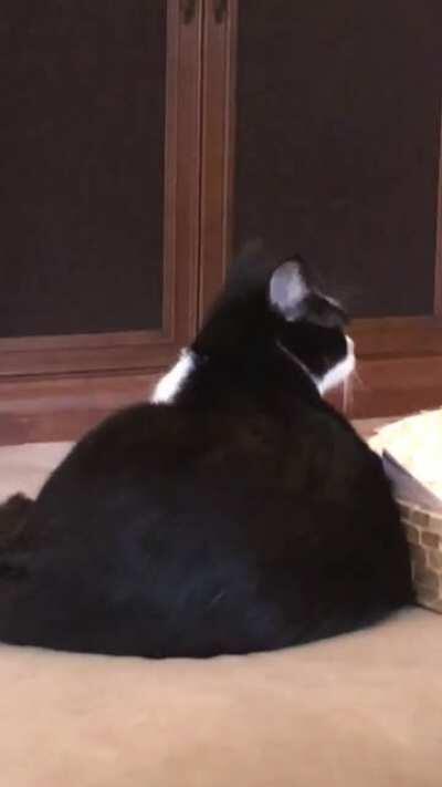 She has a special smile