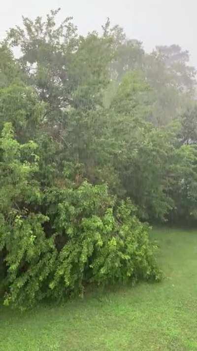 Good old fashion rain