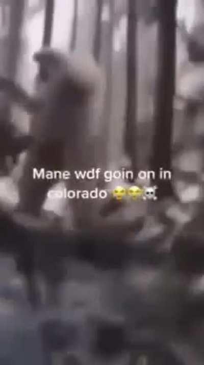 Colorado 💀💀💀