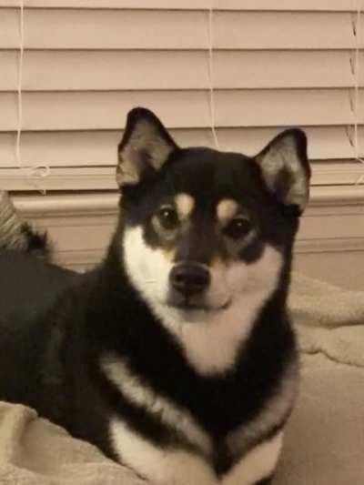 Excuse me... where’s my treat?