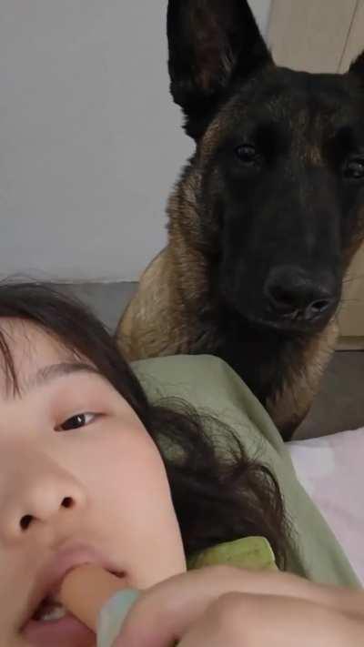 Our dog training is 🔝