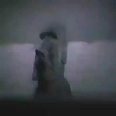 🗿🗿🗿🗿🗿🗿🗿🗿🗿🗿🗿🗿