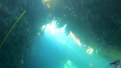 Laguna Beach, below Goff Island Reef