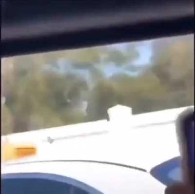 This footage taken in Louisiana, United States of a 11 year old girl driving a school bus she stole.