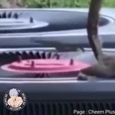 A SaM e BraBu kkkkkkkkkkk🤣🤣