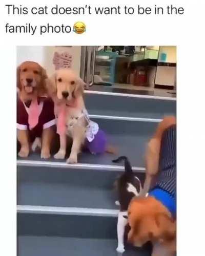 Amazing! Yet so funny 🤣 This dog is a real dad of the family.