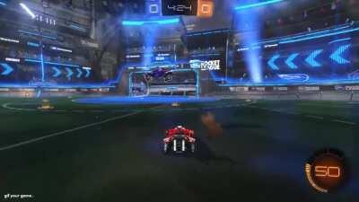 Is this considered toxic?