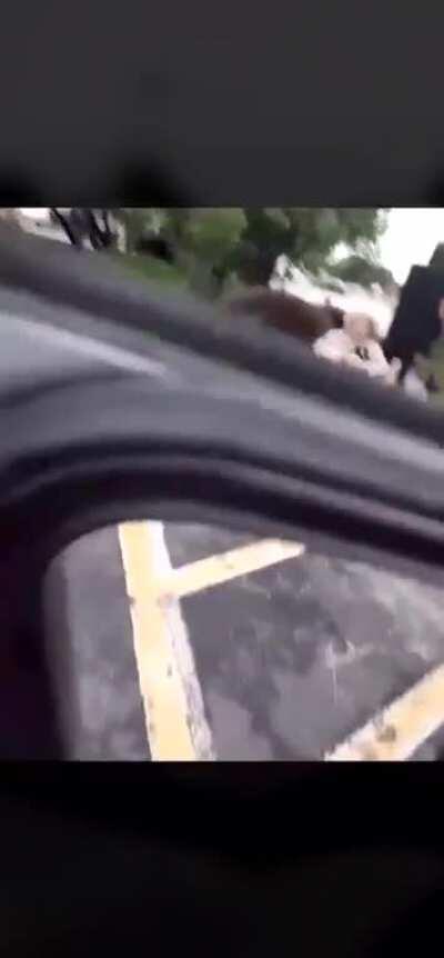 Don't be racist lady