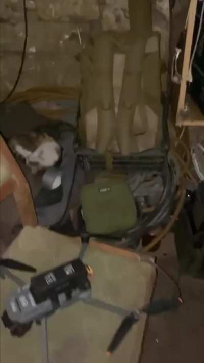UA POV: Ukrainian drone operator shows his position full of sleeping cats