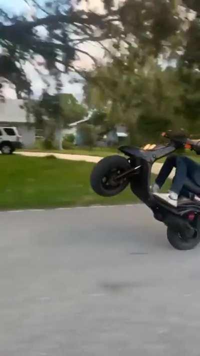 Anyone on here fans of wheelies?