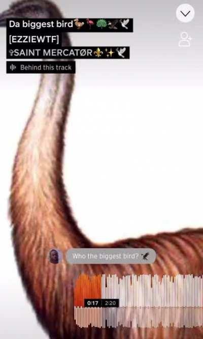 Ignore how ass the song is but do this sound like Bruce or is I’m tweakin 🤔