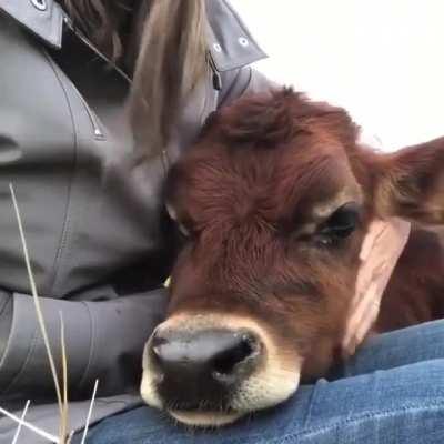 Don't know if this was already posted here before