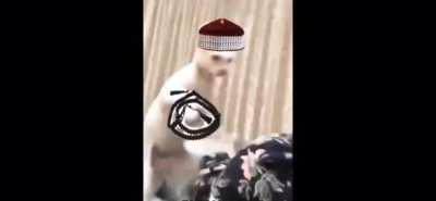 Muslim cat