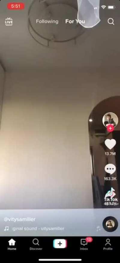 Fat ass cat then burber king mascot